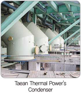 Team-Thermal-Power's-condenser